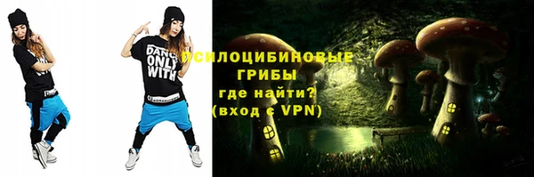 гидра Баксан