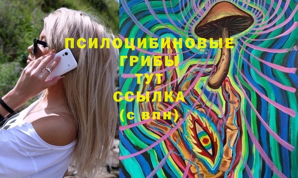 гидра Баксан