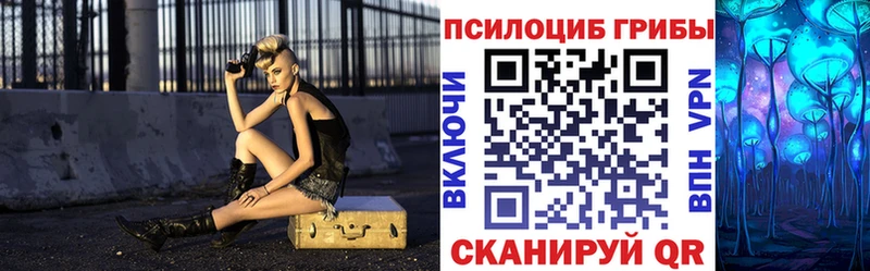 hydra вход  купить наркотики цена  Черняховск  Псилоцибиновые грибы прущие грибы 